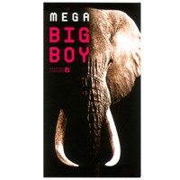 ȥᥬӥåܡ (MEGA BIG BOY)12