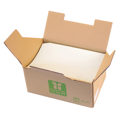 [寿堂紙製品工業] カラー上質封筒 90g 角2 若草 500枚入 02312 - 健康エクスプレス