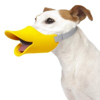 OPPO(å)quack(å)L (淿緿  Ĥ ɻ)